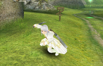 托拉姆物语暗黑技能怎么样？暗黑技能评测分析