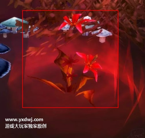 魔兽世界tbc怀旧服红色木槿怎么获得？我还要红色木槿任务怎么做？