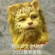 金钱豹头像图片大全-抖音很火的金钱豹头像高清图片