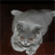 游戏自动翻译APP 1.0.8 安卓版