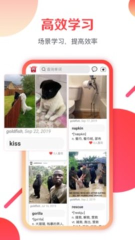 欢乐词典app 1.0 安卓版