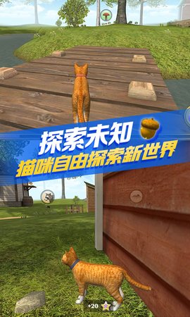 猫咪生存模拟器正版 1.0.4 安卓版