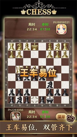 天梨国际象棋联机版 1.08 安卓版