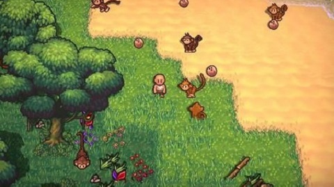 岛屿生存者手机版 1.6.5 安卓版