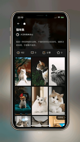 纸塘壁纸app 1.4.9 安卓版