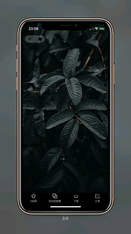 纸塘壁纸app 1.4.9 安卓版