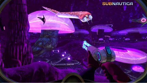 美丽水世界手机版 1.1.12 安卓版