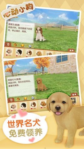 心动小狗 1.0.7 安卓版
