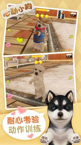 心动小狗 1.0.7 安卓版