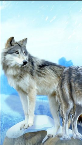 狼群狩猎模拟器 1.0.0 安卓版