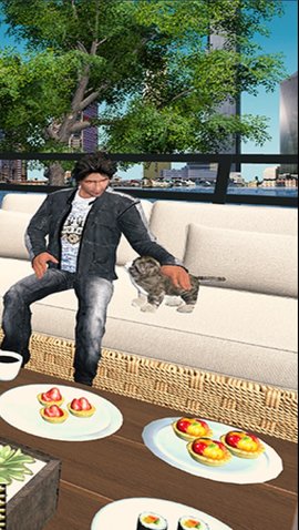 虚拟宠物猫的冒险 3.0 安卓版