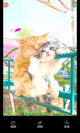 优美相机 1.0 安卓版