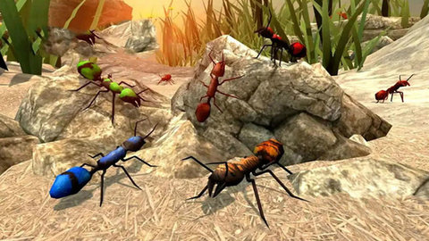 全员加速之疯狂加速 1.0 安卓版