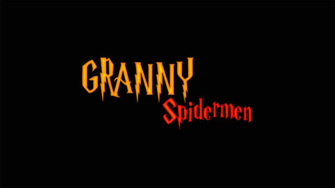 蜘蛛侠奶奶2 1.0 安卓版