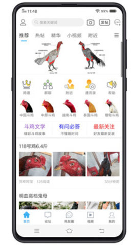 中国斗鸡论坛手机版 2.6.9 安卓版