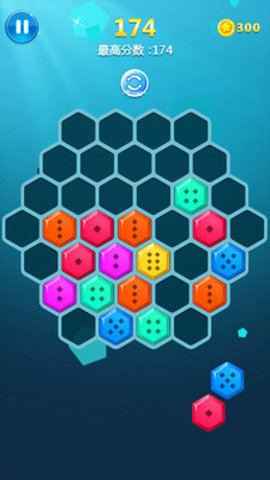 罗斯方块 1.31 安卓版