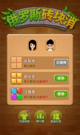 俄罗斯砖块消消消2020红包版 1.0 安卓版