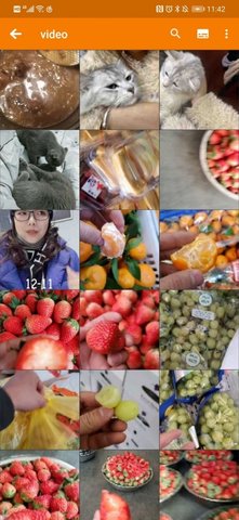 青青相册管家 1.0.0 安卓版