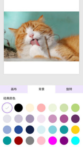 白边框app 1.0 安卓版