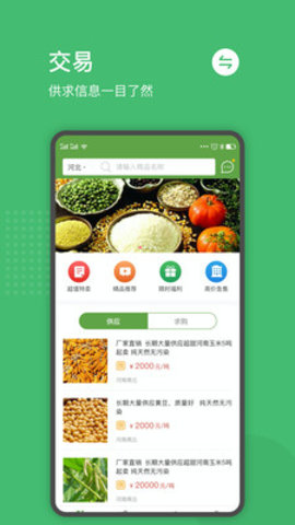 粮食商行app 1.0.0 安卓版