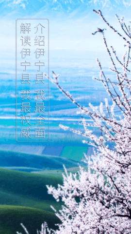 杏乡好地方 1.0.0 安卓版