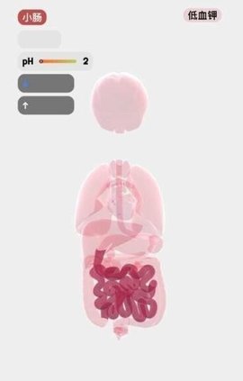 医学人体模拟器 1.0 安卓版