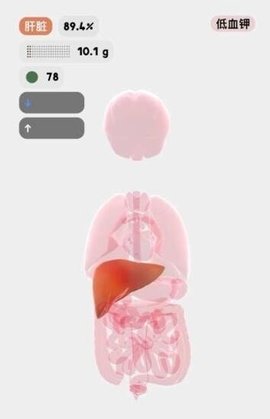 医学人体模拟器 1.0 安卓版