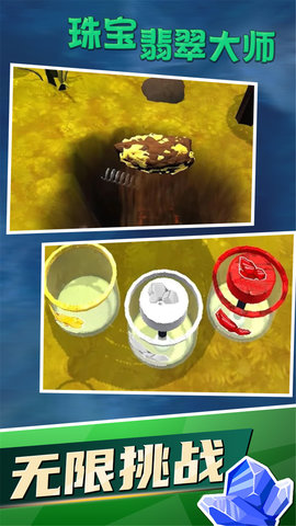 珠宝翡翠大师 1.0.0 安卓版