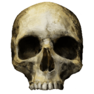 生化狂潮3寒冬之战正版 4.0 安卓版