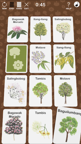 菲律宾森林的产物 0.2 安卓版