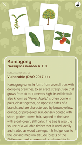 菲律宾森林的产物 0.2 安卓版