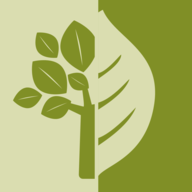 菲律宾森林的产物 0.2 安卓版