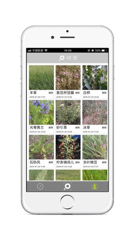 晓草APP 2.0.3 安卓版