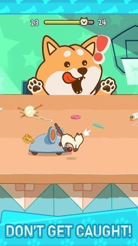 别被柴柴发现 1.0.3 安卓版