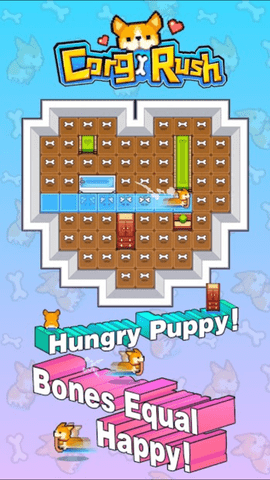 跑吧柯基 1.0.5 安卓版