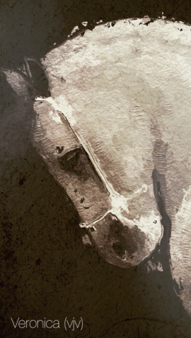 油画马赛克 1.9 安卓版