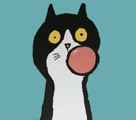 聆听云音乐 1.1 安卓版