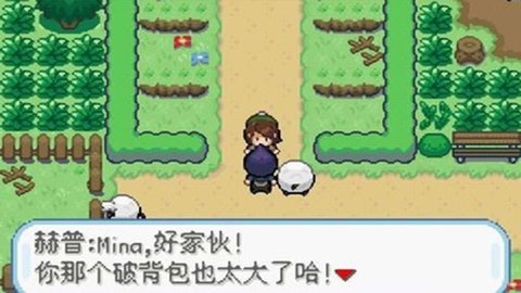 口袋妖怪剑盾8.0汉化版 8.0 安卓版