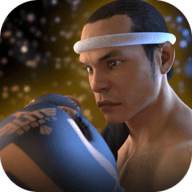 泰拳2格斗冲突 1.05 安卓版