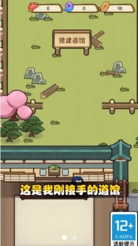 我玩游戏贼强 0.9.9 安卓版