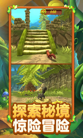 真实松鼠模拟器 1.3 安卓版