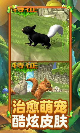 真实松鼠模拟器 1.3 安卓版