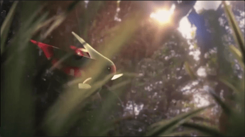 小精灵历险记 2.0.1 安卓版