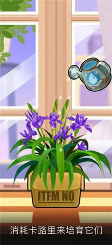 我有个花园畅想版 1.0.8 安卓版