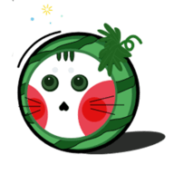 呱图图 1.1.2 安卓版