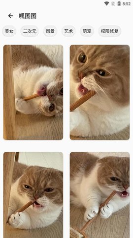 呱图图 1.1.2 安卓版