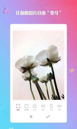 最美滤镜 1.0.6 安卓版