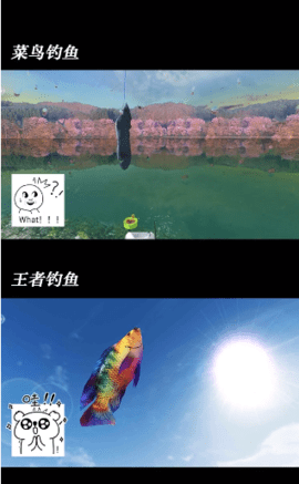 钓鱼猎手游戏 1.15.0 安卓版