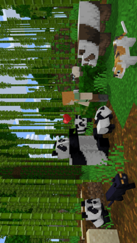 工艺世界圣诞版 1.16.0.57 安卓版