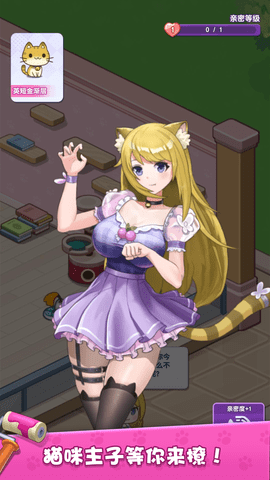 我的猫咪小家 1.0.1 安卓版